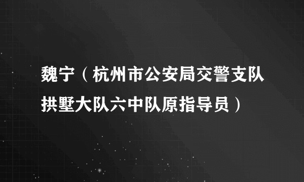 魏宁（杭州市公安局交警支队拱墅大队六中队原指导员）