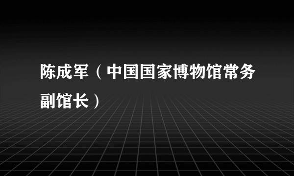陈成军（中国国家博物馆常务副馆长）
