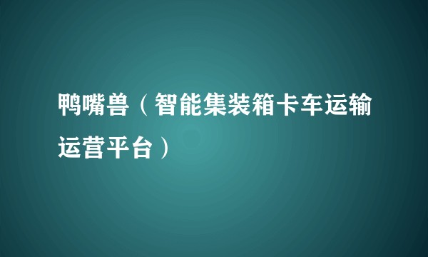 鸭嘴兽（智能集装箱卡车运输运营平台）