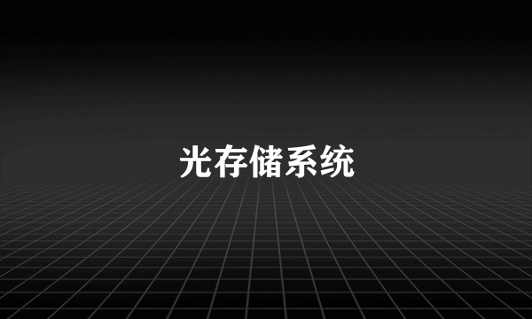 光存储系统