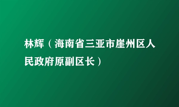 林辉（海南省三亚市崖州区人民政府原副区长）