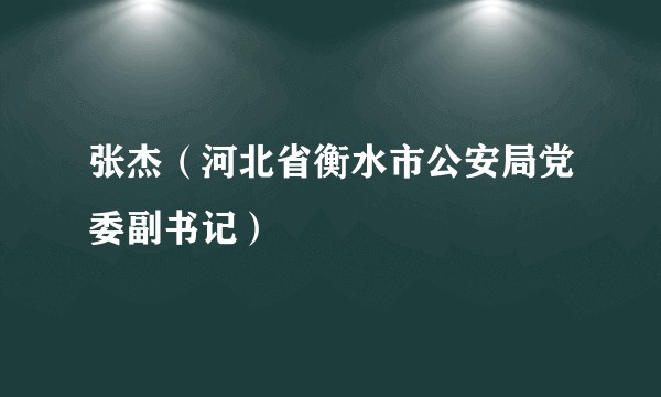 张杰（河北省衡水市公安局党委副书记）
