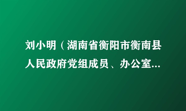 刘小明（湖南省衡阳市衡南县人民政府党组成员、办公室党组书记、主任）