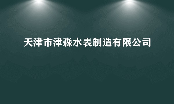 天津市津淼水表制造有限公司