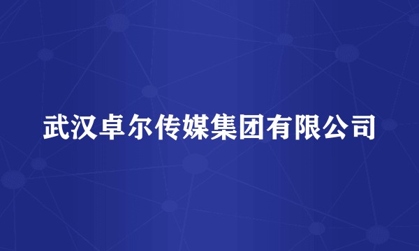 武汉卓尔传媒集团有限公司