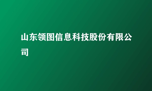 山东领图信息科技股份有限公司