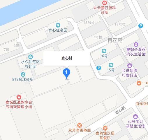 水心村（浙江省温州市鹿城区松台街道下辖村）