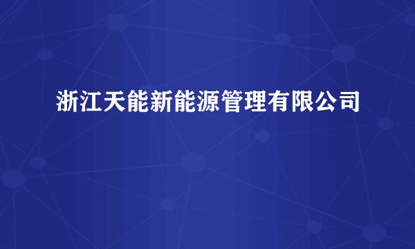 浙江天能新能源管理有限公司