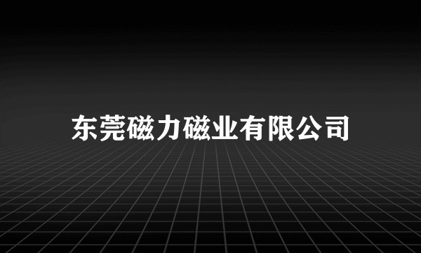 东莞磁力磁业有限公司