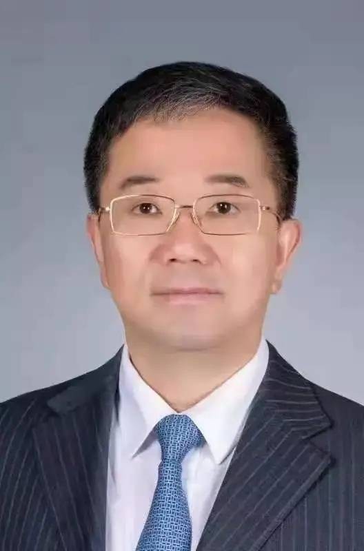 张立（第十四届全国人大代表、外事委员会委员，中国电子信息产业发展研究院院长、党委副书记）