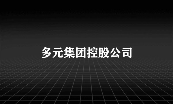 多元集团控股公司