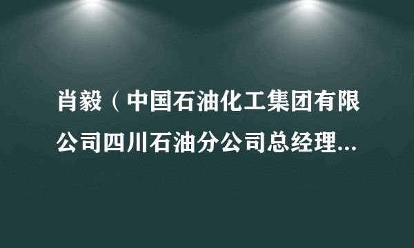 肖毅（中国石油化工集团有限公司四川石油分公司总经理、党委副书记）