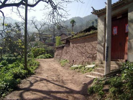 杉树林自然村