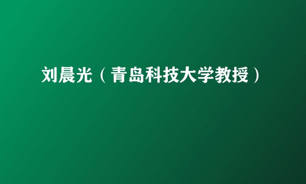 刘晨光（青岛科技大学教授）