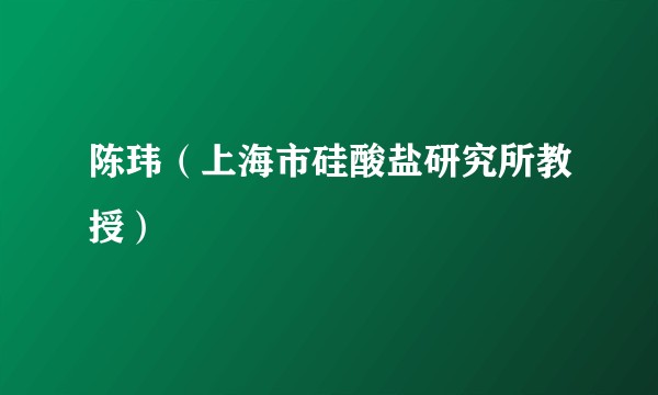 陈玮（上海市硅酸盐研究所教授）