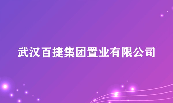 武汉百捷集团置业有限公司