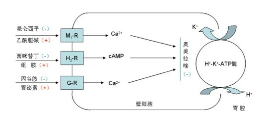 抗胃分泌药