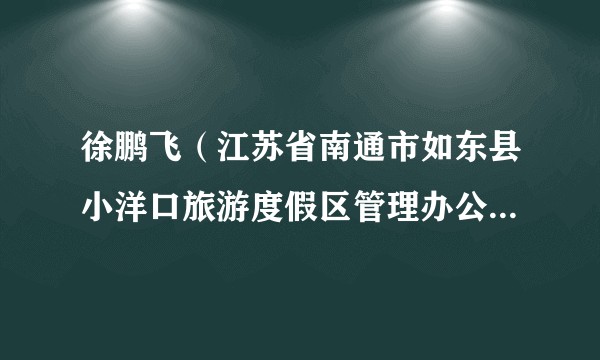 徐鹏飞(江苏省南通市如东县小洋口旅游度假区管理办公室党组成员、副主任)