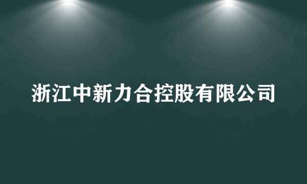 浙江中新力合控股有限公司