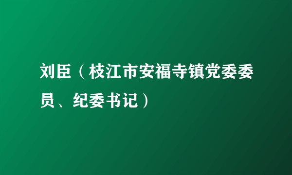 刘臣（枝江市安福寺镇党委委员、纪委书记）