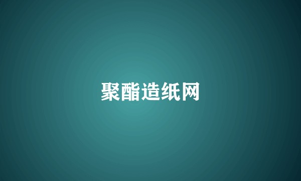 聚酯造纸网
