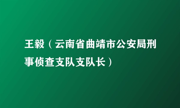 王毅（云南省曲靖市公安局刑事侦查支队支队长）