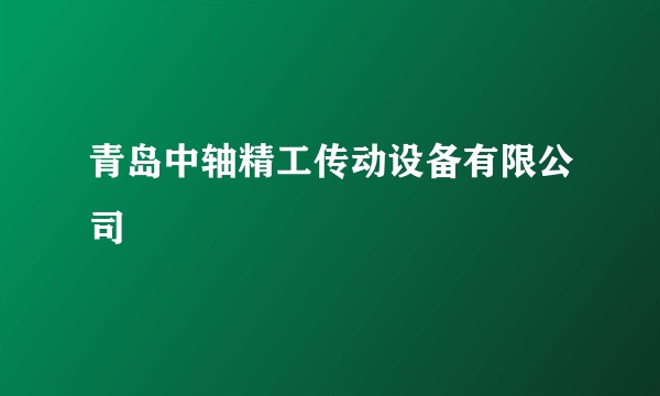 青岛中轴精工传动设备有限公司