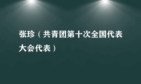 张珍（共青团第十次全国代表大会代表）