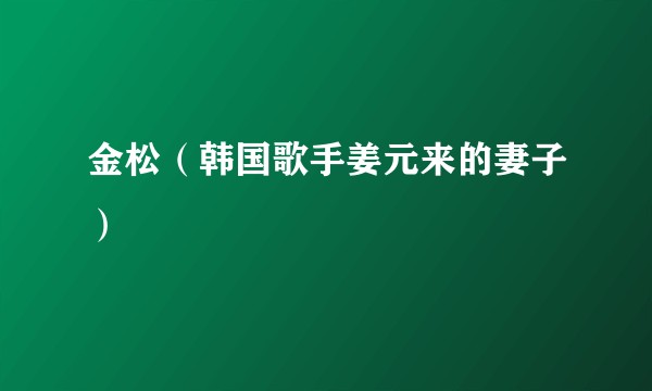 金松（韩国歌手姜元来的妻子）