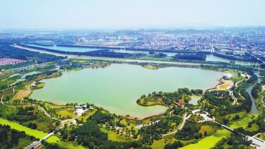 山东黄河玫瑰湖国家湿地公园