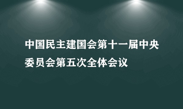 中国民主建国会第十一届中央委员会第五次全体会议