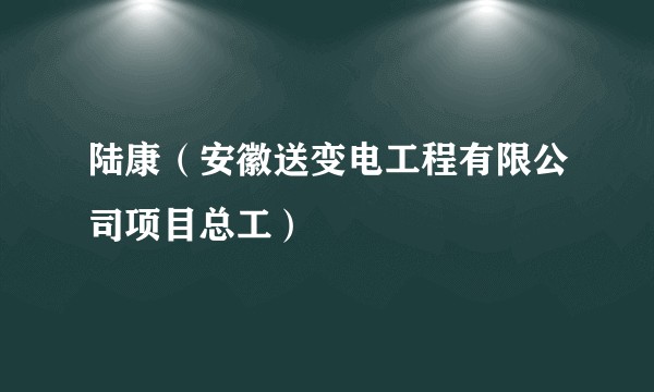 陆康（安徽送变电工程有限公司项目总工）
