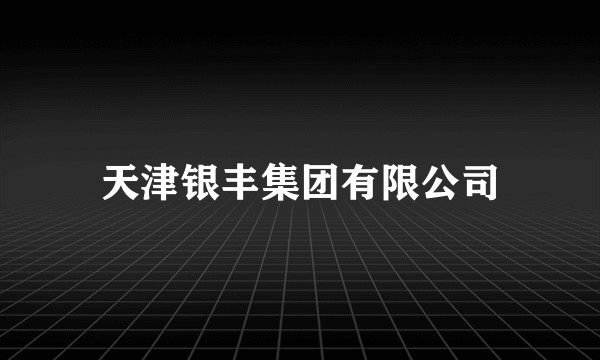 天津银丰集团有限公司