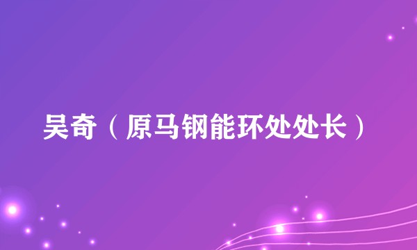 吴奇（原马钢能环处处长）