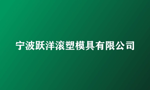 宁波跃洋滚塑模具有限公司