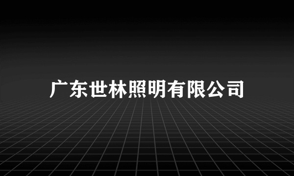 广东世林照明有限公司
