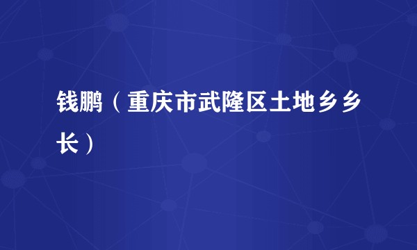 钱鹏（重庆市武隆区土地乡乡长）