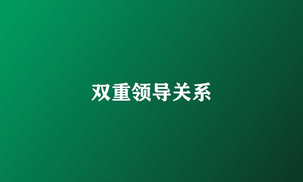 双重领导关系