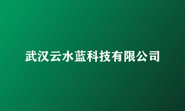 武汉云水蓝科技有限公司