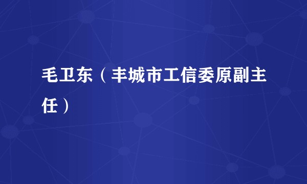 毛卫东（丰城市工信委原副主任）