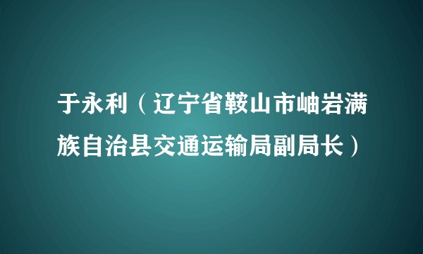 于永利(辽宁省鞍山市岫岩满族自治县交通运输局副局长)