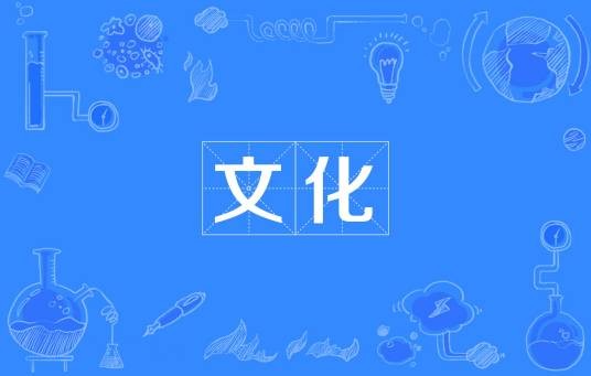 文化（精神财富的总和）