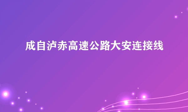 成自泸赤高速公路大安连接线