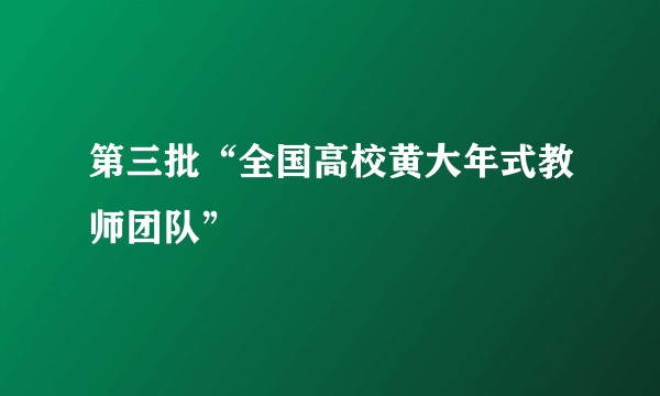 第三批“全国高校黄大年式教师团队”