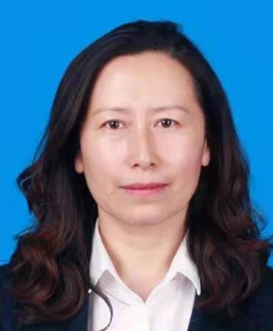 宋丽（黑龙江省齐齐哈尔市碾子山区政府副区长）