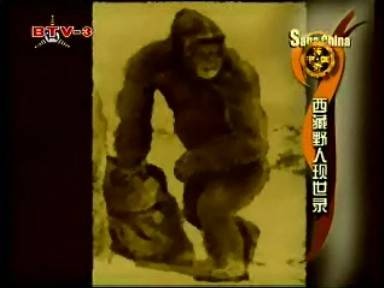墨脱野人