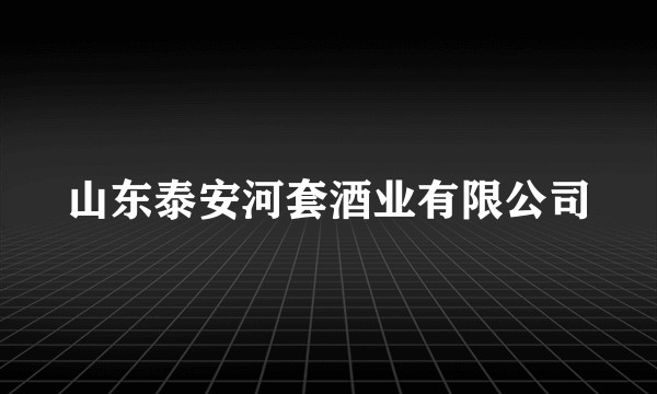 山东泰安河套酒业有限公司
