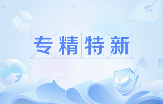 专精特新（网络流行语）