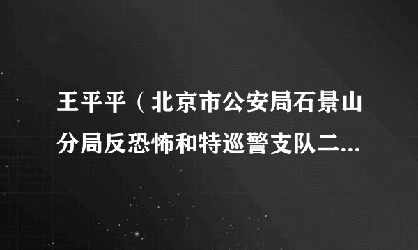 王平平（北京市公安局石景山分局反恐怖和特巡警支队二级警长）