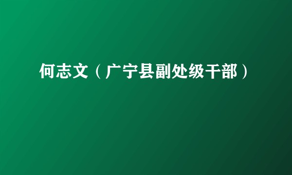 何志文（广宁县副处级干部）